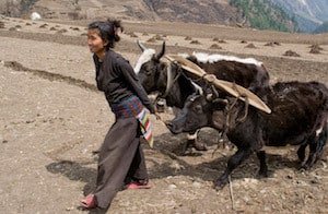 Nepalese People