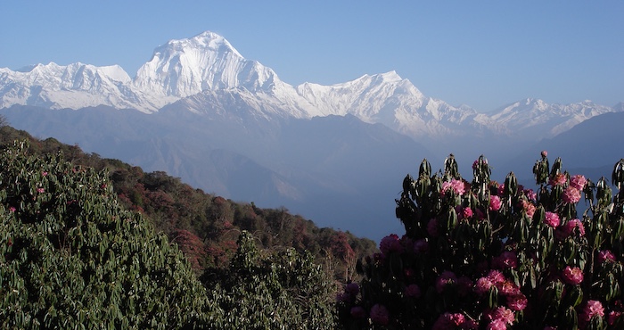 Annapurna Range from Poon Hill